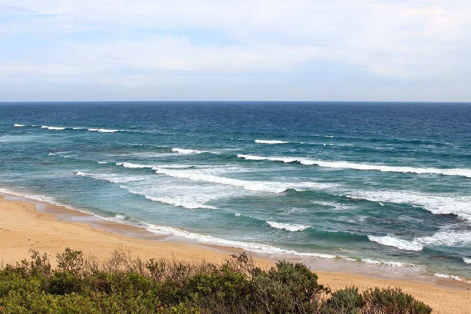 New study to help monitor human impact on the health of marine life of the Southern Ocean